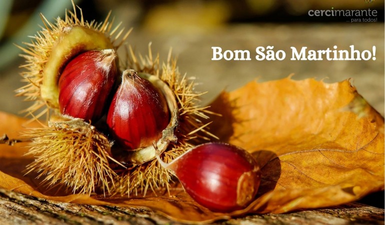 Bom São Martinho!