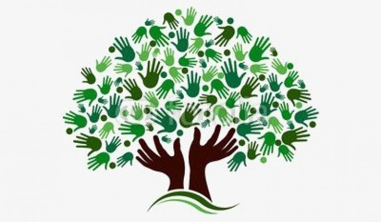 Dia Mundial da Árvore!