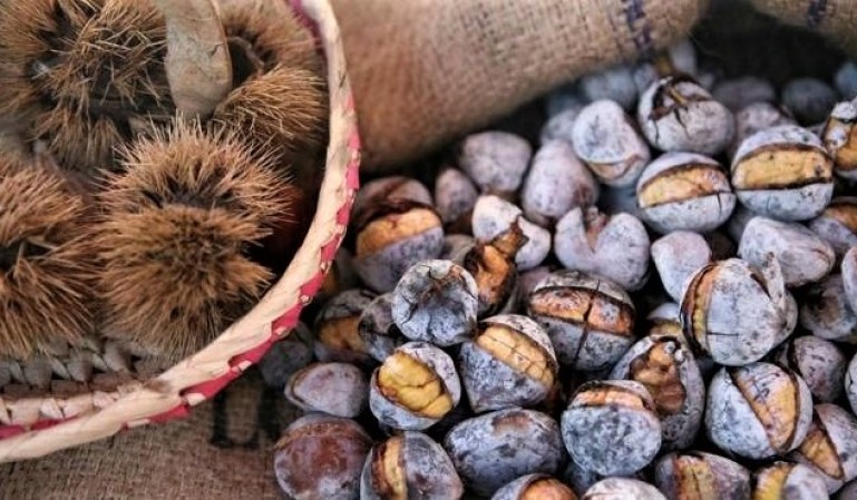 Tradicional Magusto da Cercimarante