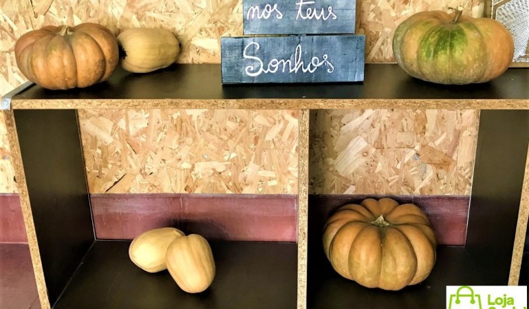 Sugestão para o seu Halloween – Dia das Bruxas!