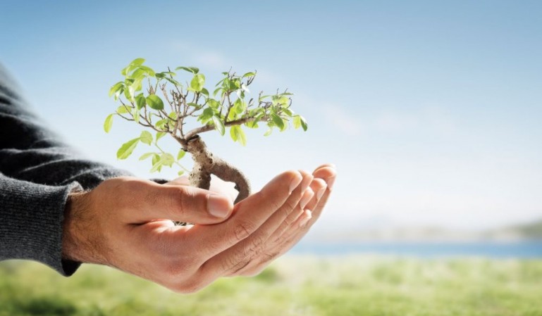 Dia Mundial da Árvore!