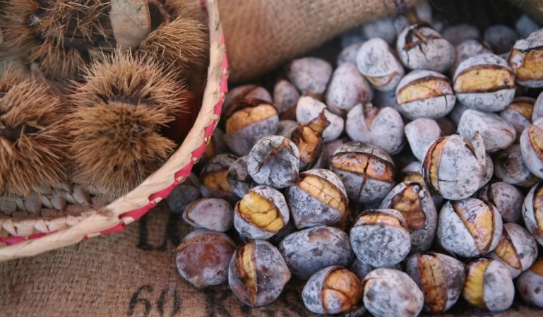 Dia de São Martinho!