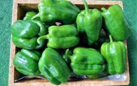 Pimentos Verdes