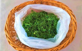 Couve cegada (caldo verde)