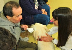 Clientes do CACI usufruem de Terapia Assistida por Animais 